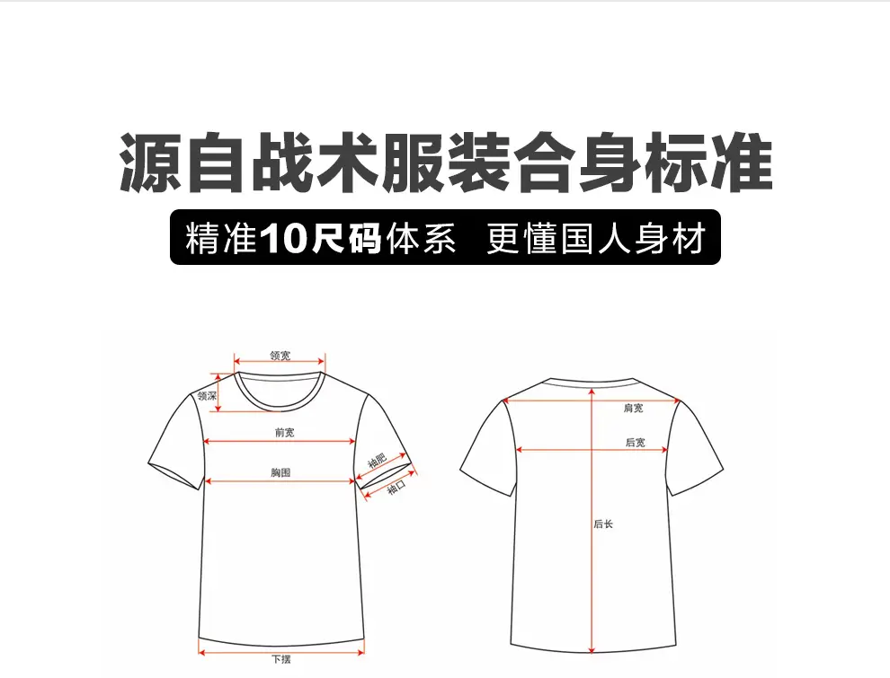 detail_029.webp