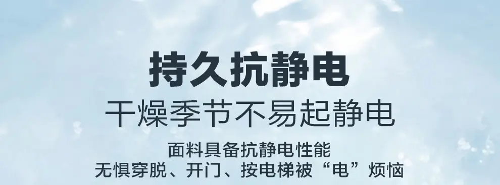detail_011.webp