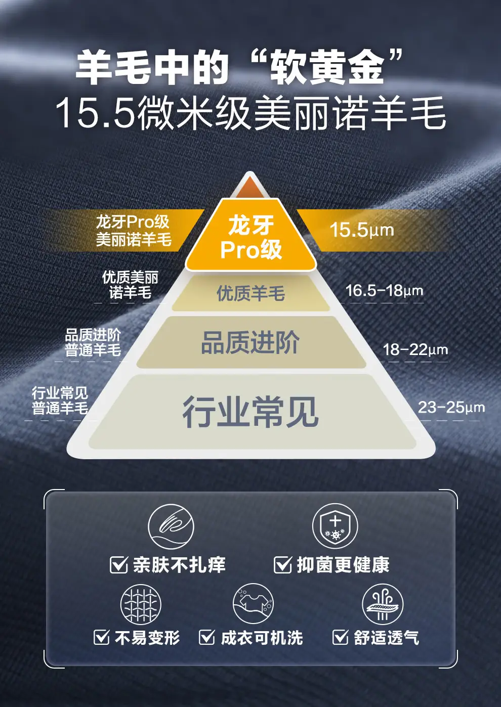 detail_002.webp