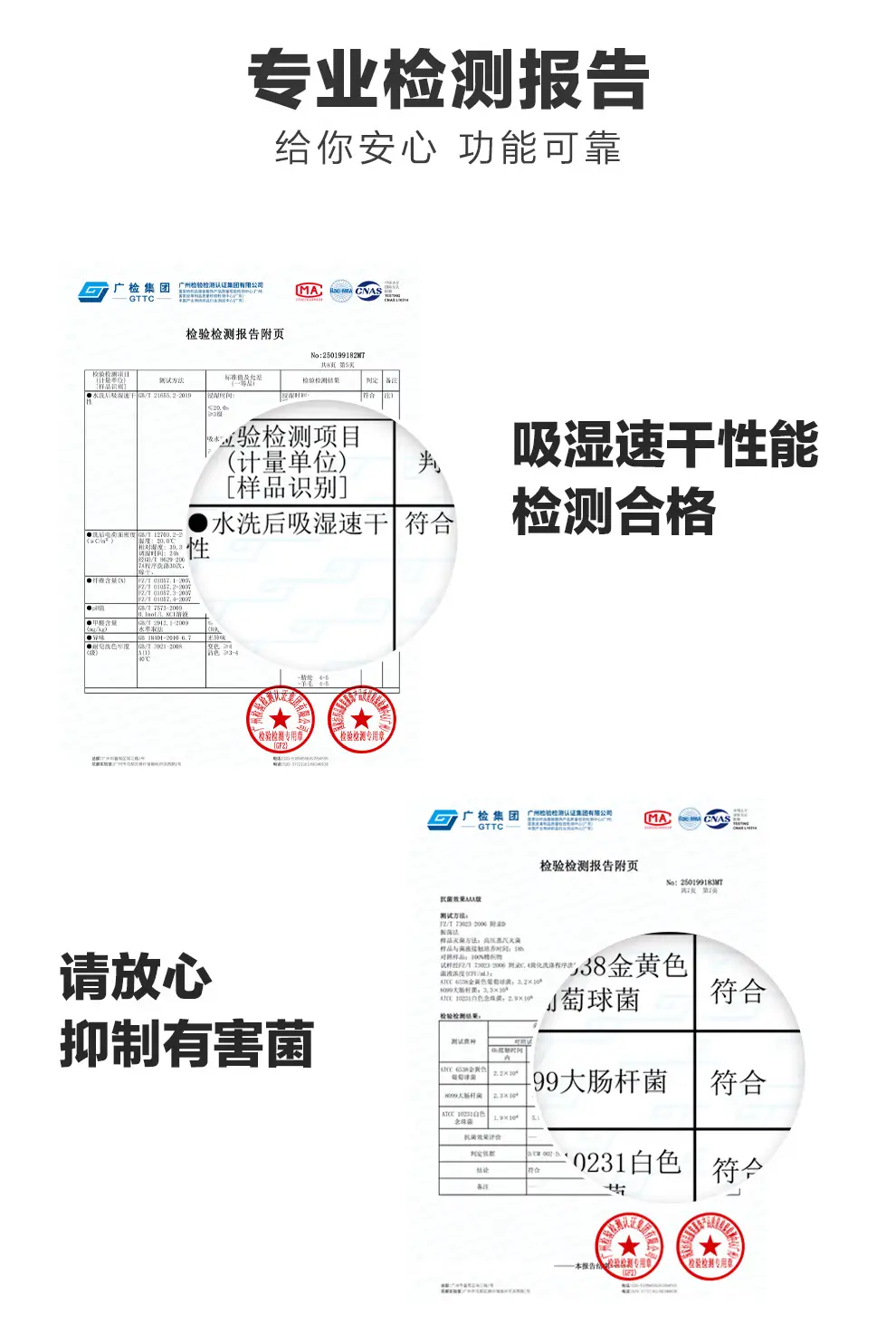 detail_039.webp